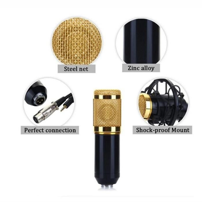 BM-800 + Shock Mount Wired Microphone