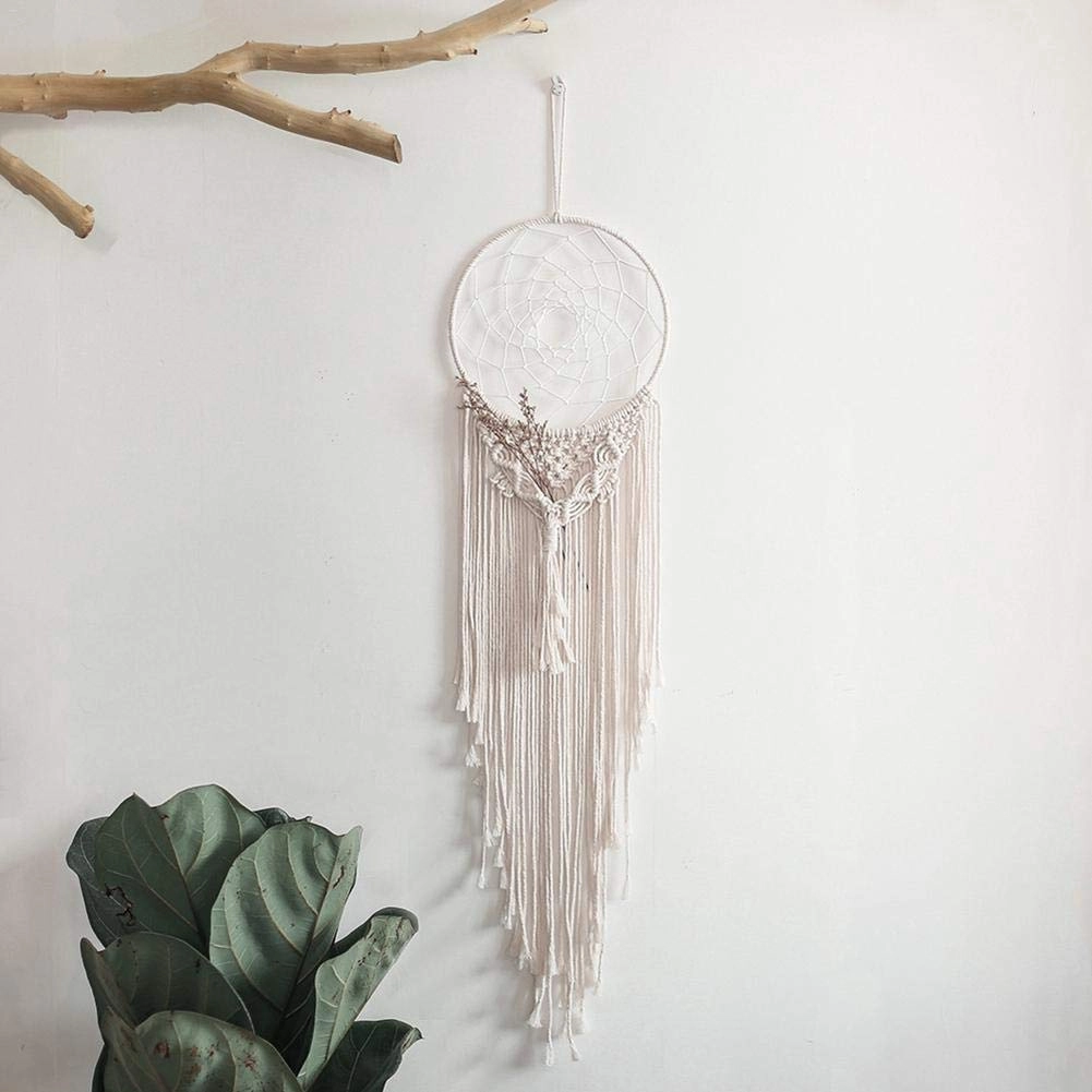 Dreamcatcher - Siderosphere, feathers, lines, wood beads.
