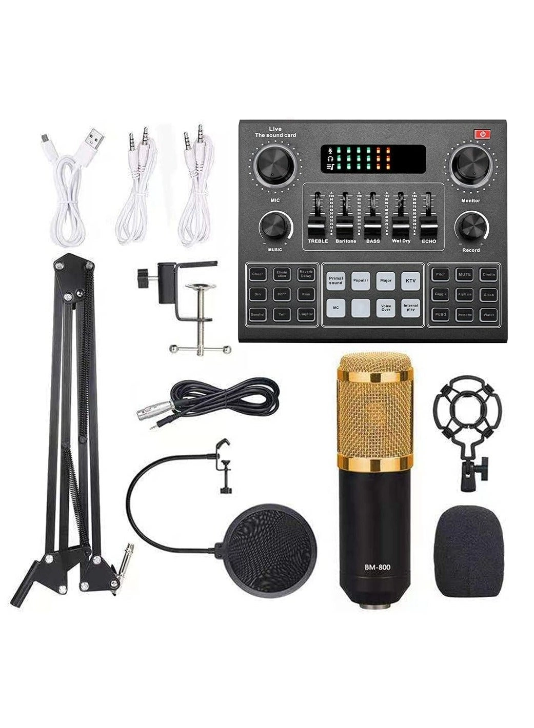 Mike Music V9 + BM800 Pro Wireless Microphone