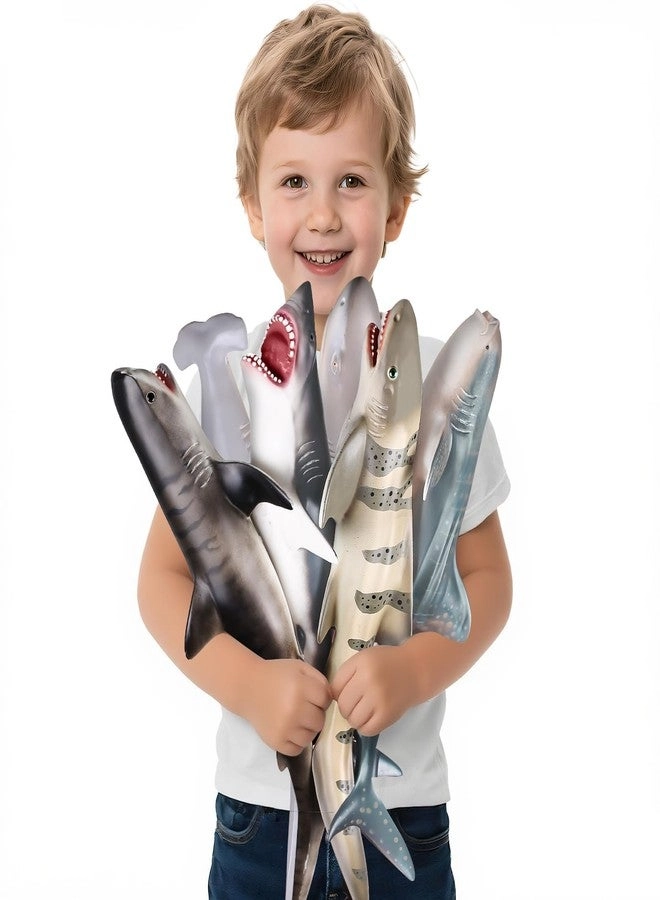 Shark Toy - 6 Pack 15-16 Inch + Educational Booklet