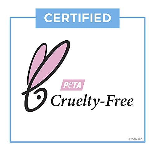 Invisible Solid - Powder Fresh 73.93 gram