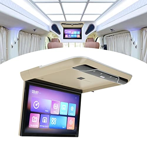 Car Roofmount LCD Monitor - 19 Inches