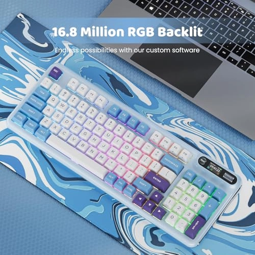 Z98 - Wired/Wireless