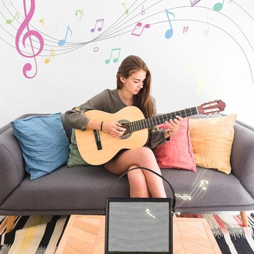 Guitar Amplifier - 30W OTG BT 2200mAh