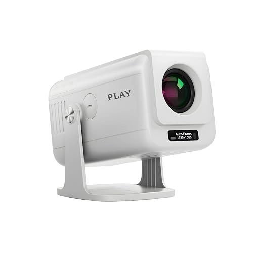 Victory AVI PLAY 300 ANSI Lumens