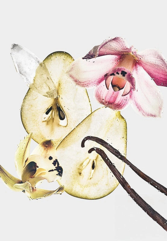 Nude Vanilla - 236ml