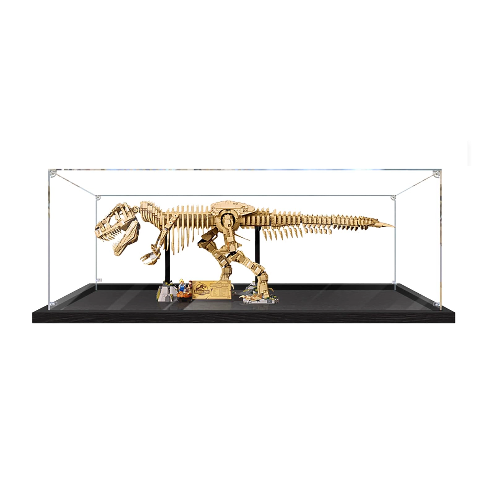 Acrylic Display Case for LEGO T. Rex 76968 - 3MM thickness