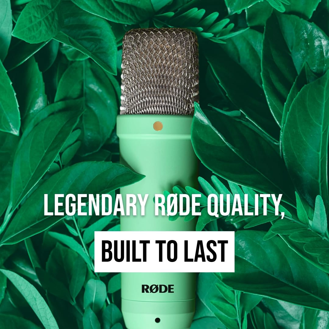 NT1 Signature Series XLR Microphone