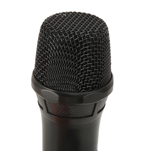 Microphone - 1