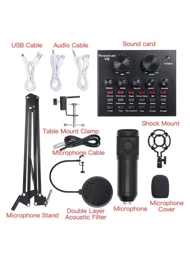 Live Sound Card + Condenser Microphone Wireless Microphone