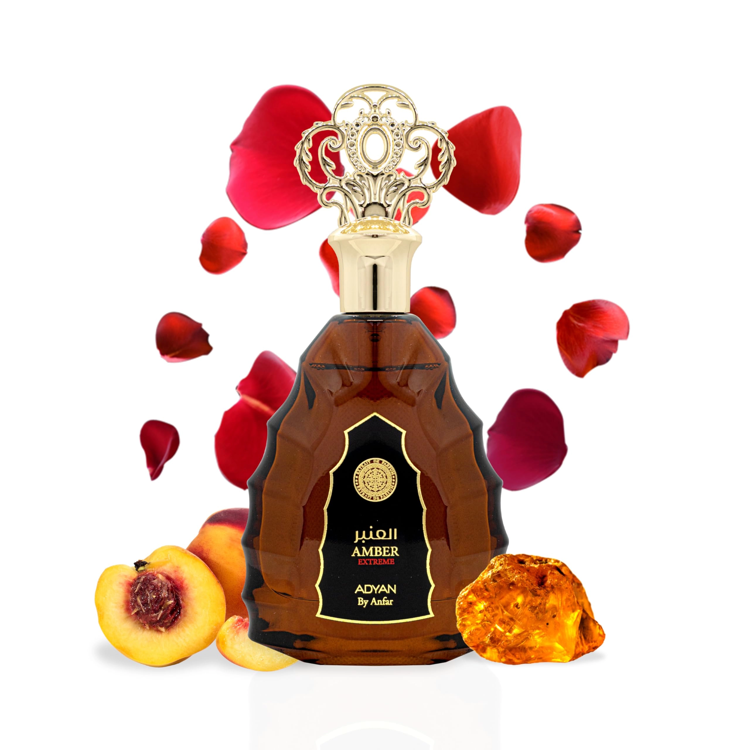 OUDH AL ANFAR MANUFACTURING L.L.C Amber Intense Eau de Parfum 100ml