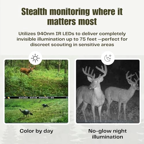 TRACKS - LTC-3A Black Flash Cell