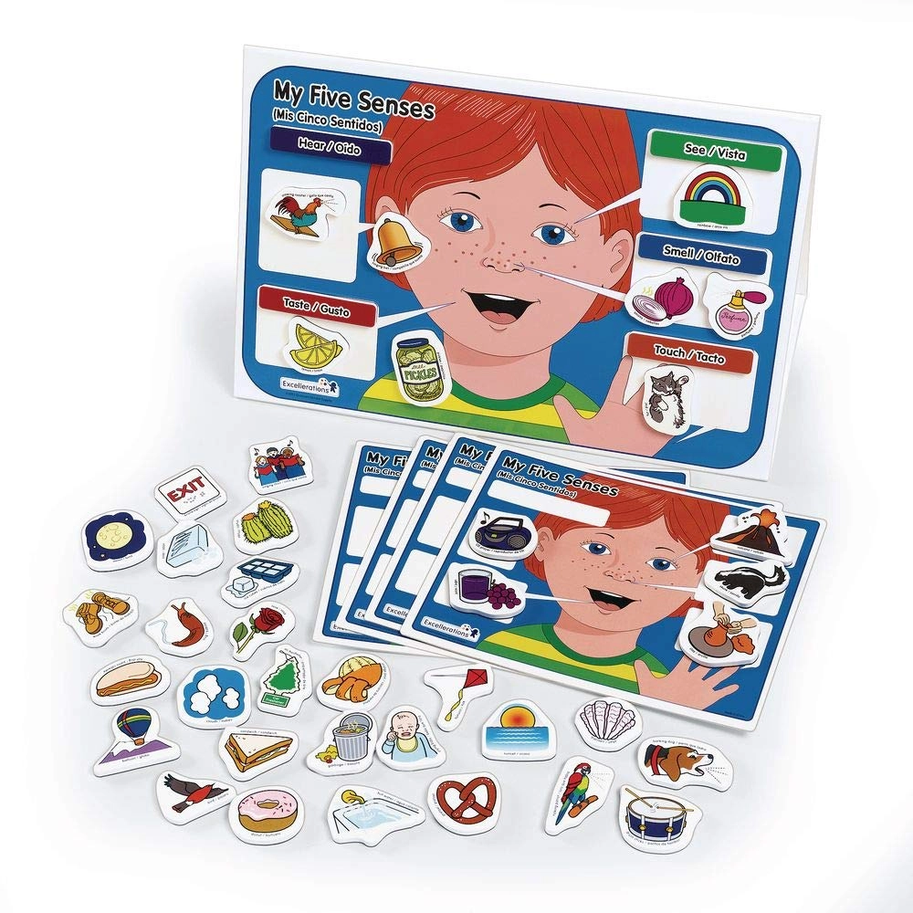 Excellerations My 5 Senses Magnetic Activity Set - 55 pieces
