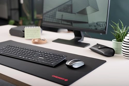 MW 9100 Mouse - Wireless