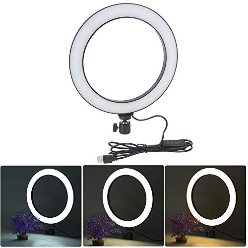 LED Ring Light - 10 inch