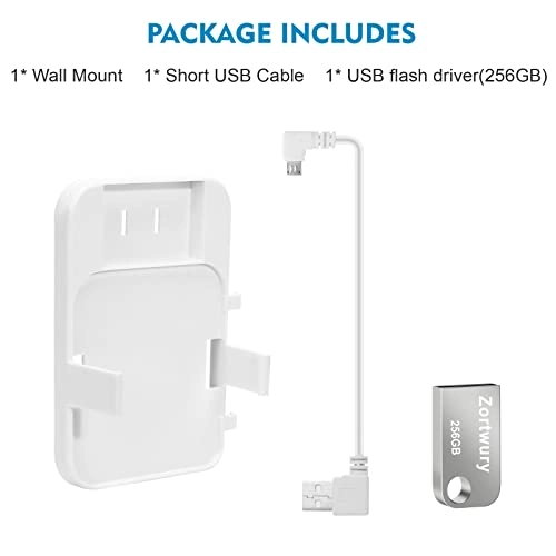 Blink USB Flash Drive - 256GB USB 3.0 + Outlet Wall Mount - Blink Sync Module 2
