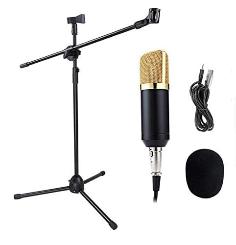 BM-700 - Handheld Condenser Microphone Stand