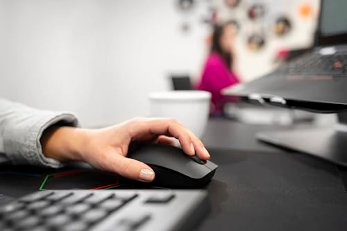 MW2400 Mouse - Wireless