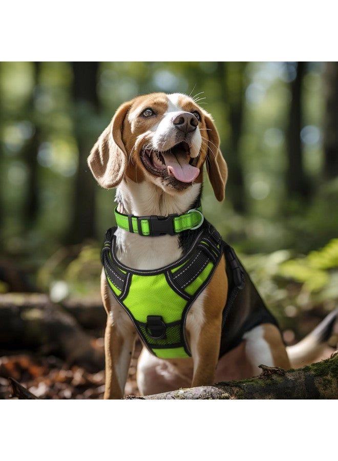 Reflective Dog Collar Dog L