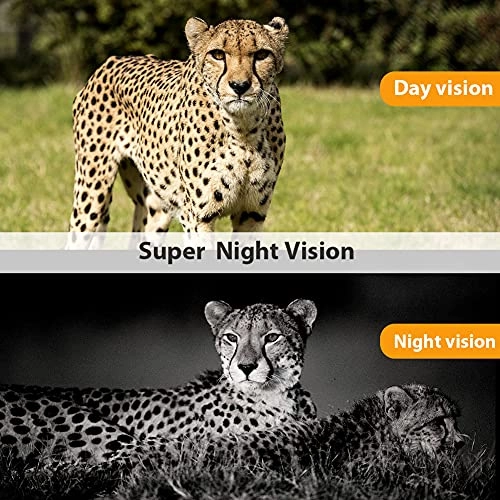 Hunting Trail Camera - 5 megapixel