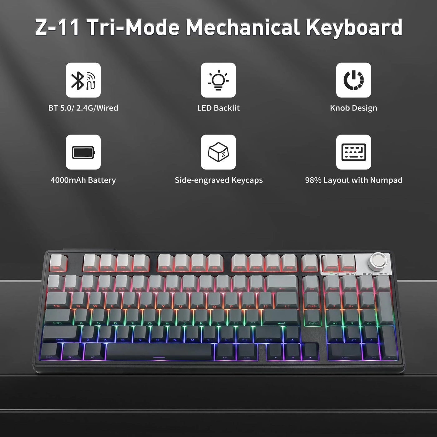 Z-11 - Wired/Wireless