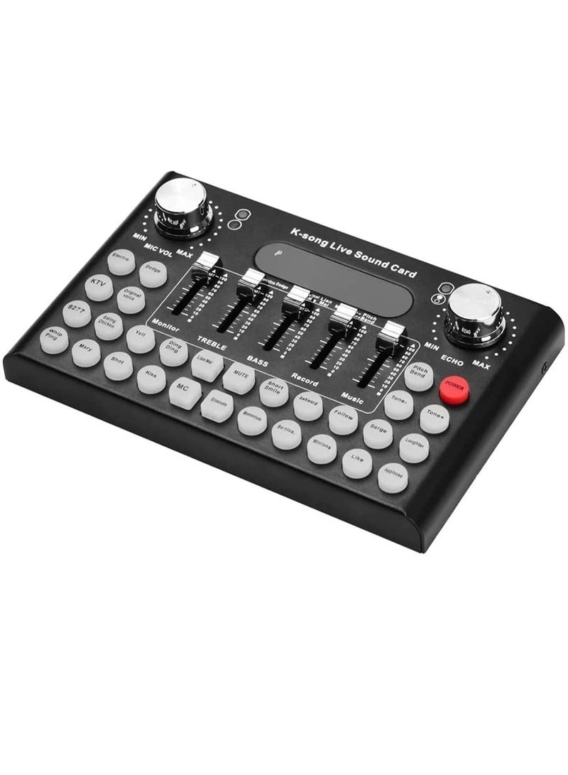 V8 Wireless+USB Microphone