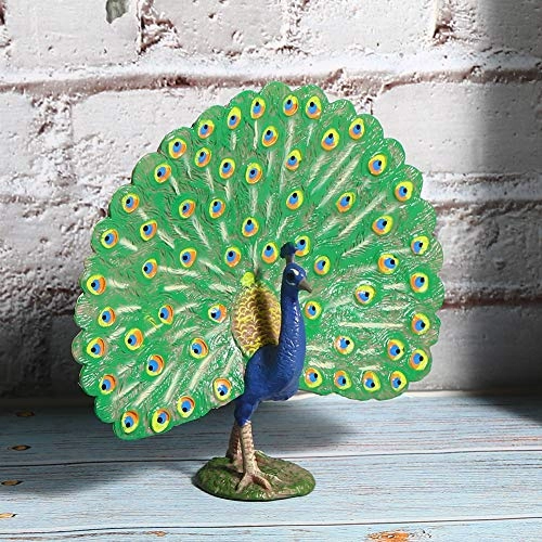 Peacock Model - 18 months - 3 years Peacock 1