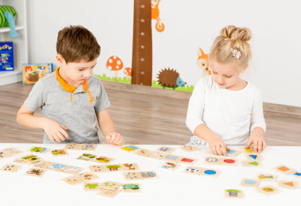 Cognito Matching Puzzle - 4 +