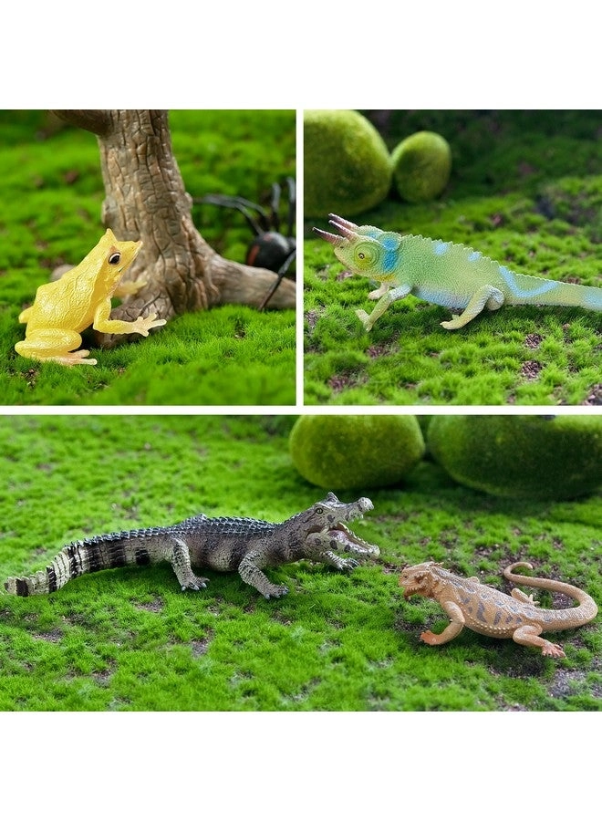 Reptile Animal Figurine Toys Set - Desert Amphibians 12 pcs
