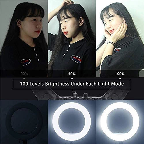 FT-45 - 18 inches/48 cm