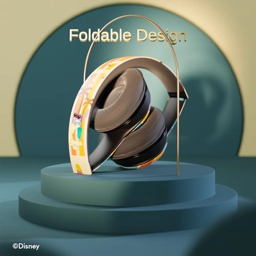 RM Wireless Headphone