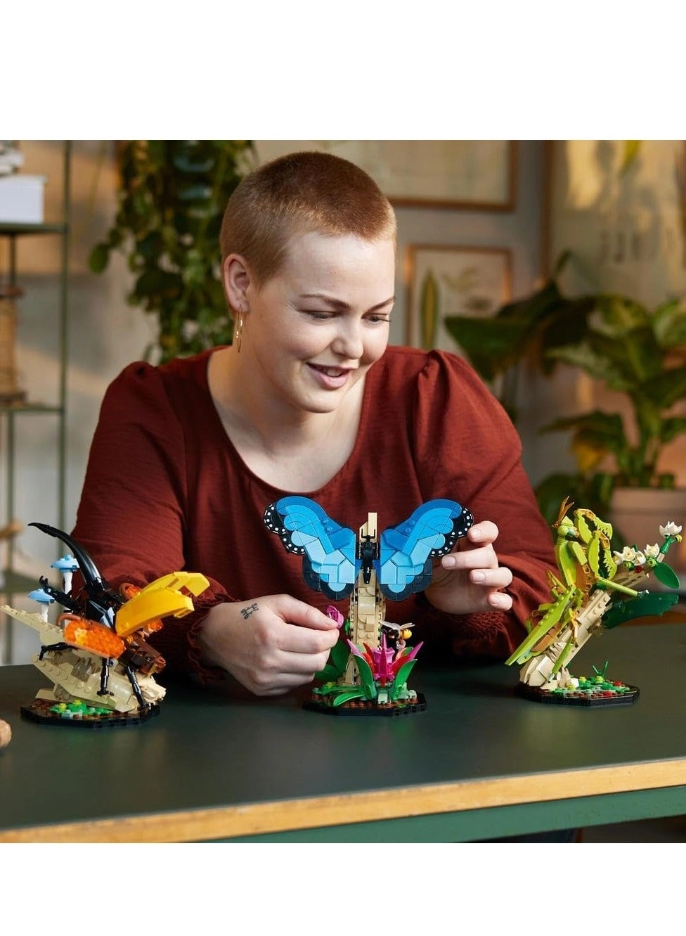 Ideas The Insect Collection (21342)