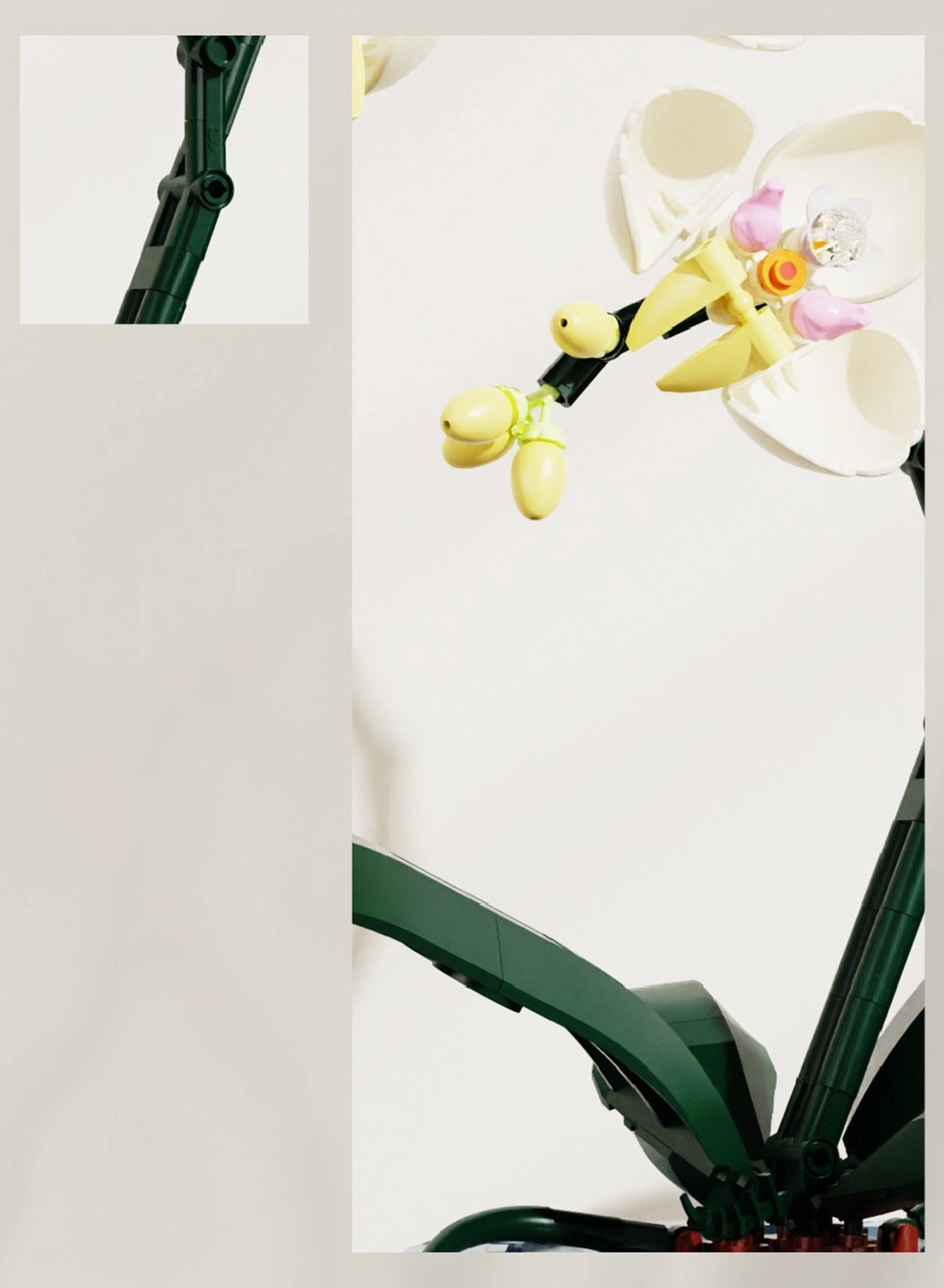 erfly Orchid - 2245 pcs