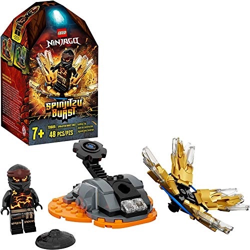 NINJAGO Spinjitzu Burst - Cole (70685) - Accessory Set