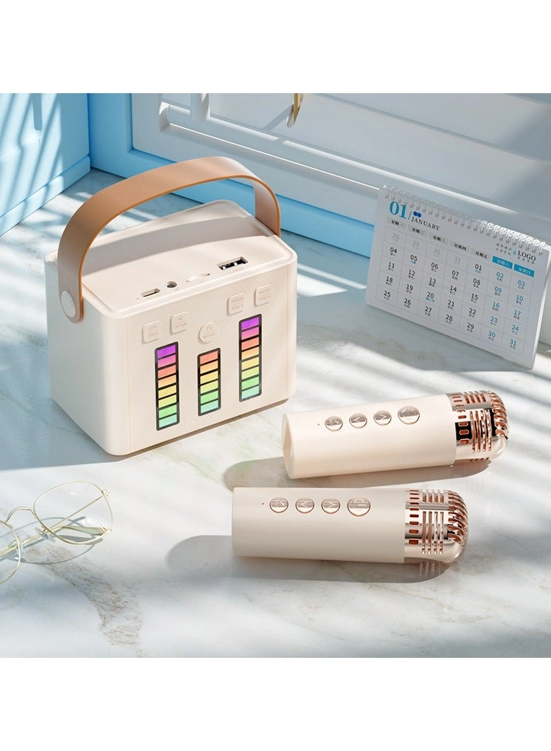 LED Bluetooth Karaoke Speaker - Dual Microphones