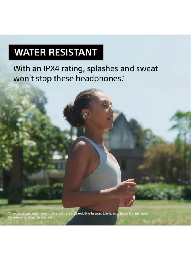 LinkBuds Clip Wireless Earbud