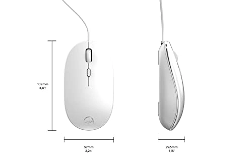 ML301884 Optical Mouse - USB
