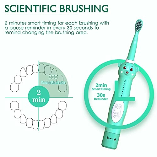 Kids Sonic Electric Toothbrush - Green+8 Heads 2 Min Timer