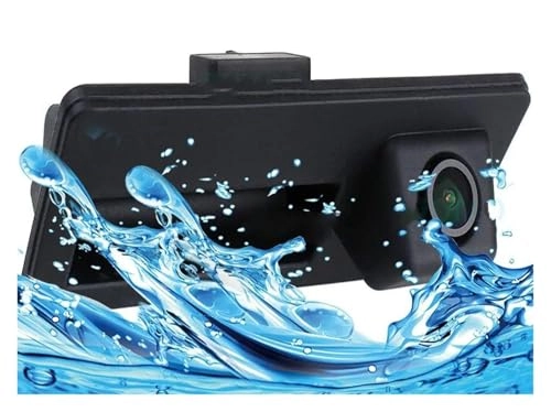 LS313 - 1280 × 720