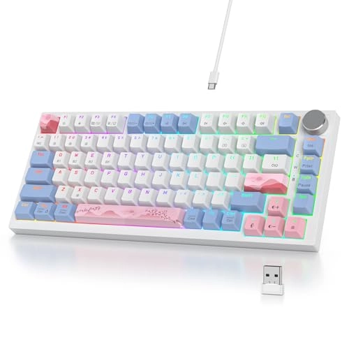 V400pro - US Wired/Wireless