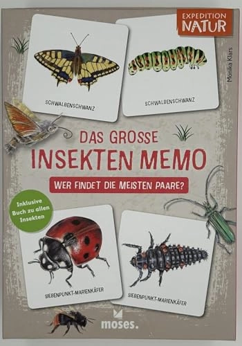 Das große Insekten Memo: Wer findet die meisten Paare? (English, German)