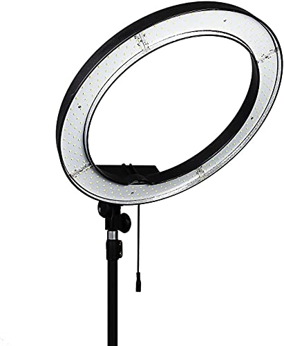 Mulugeta - 18" 48 cm