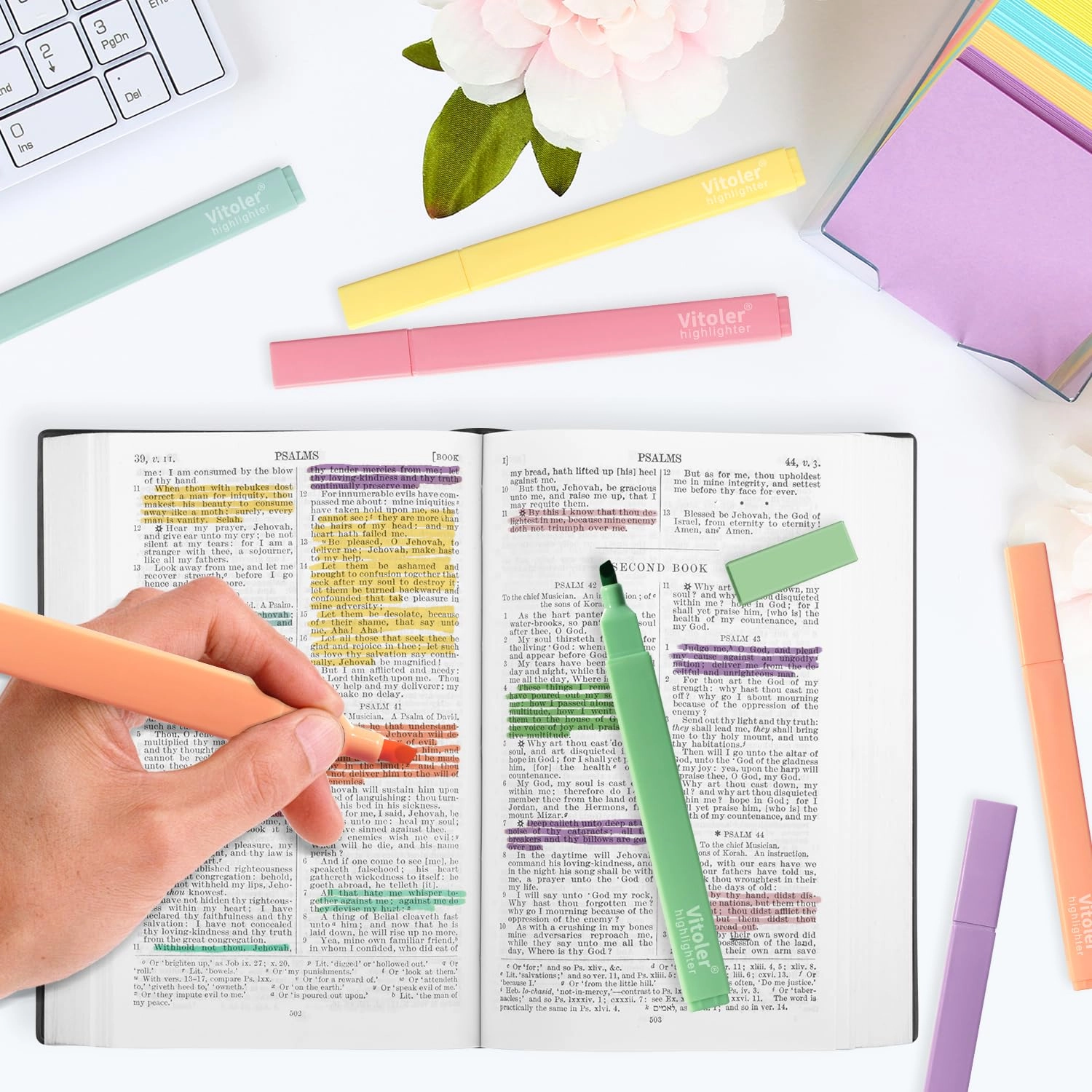 Bible Highlighters - Pastel Chisel