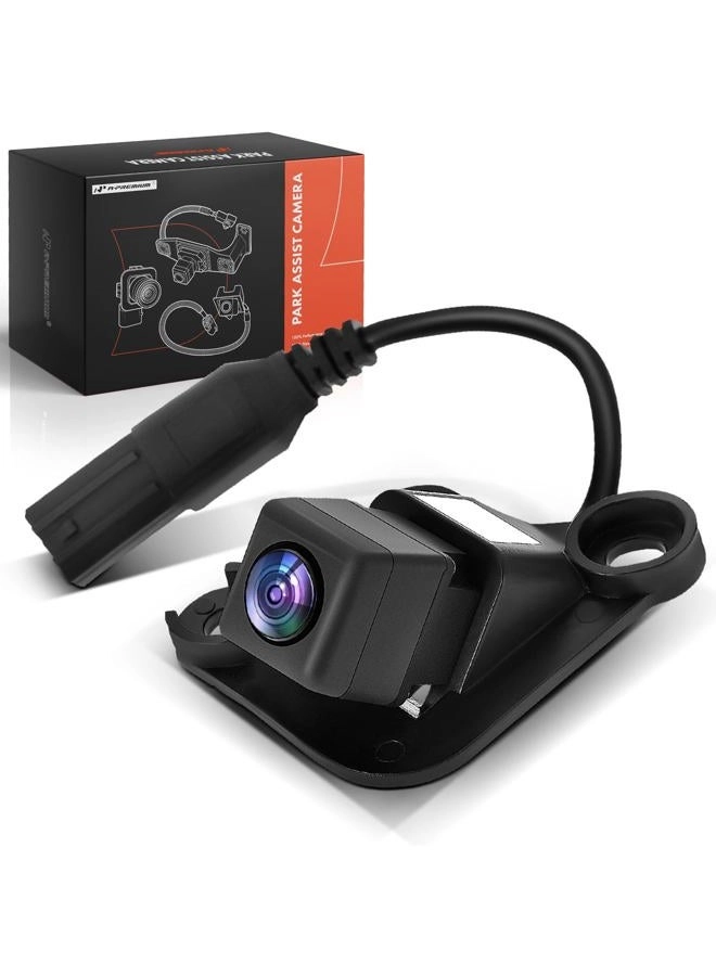 Park Assist Camera