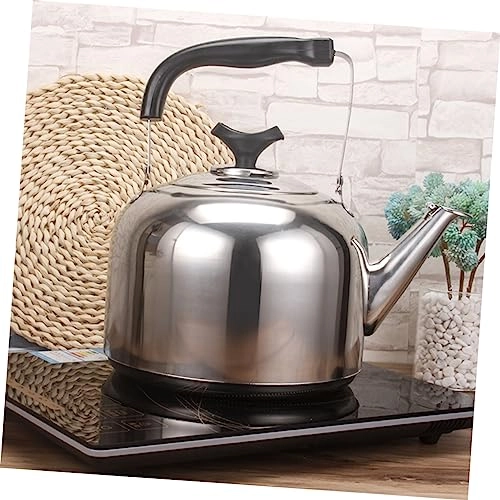 Stainless Steel Whistling Electric Kettle