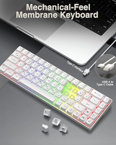 SK968 - 60 Percent Wired