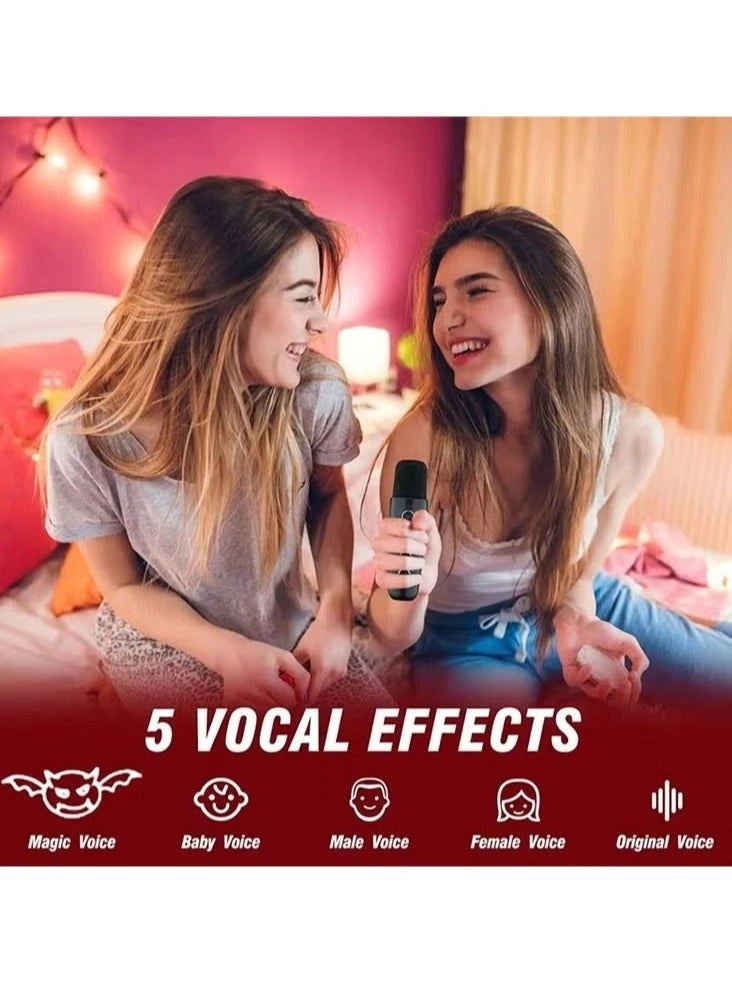 SD508 - 2 Wireless Microphones