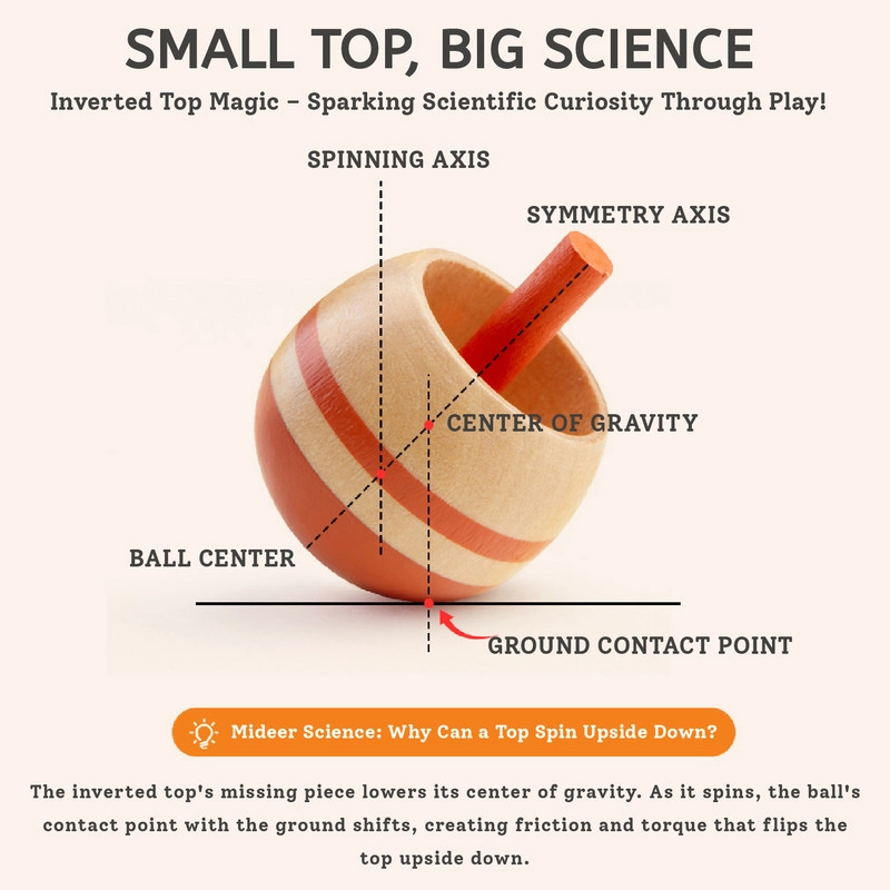 Spinning Top - Dancing Bear - Suitable for 3 years and above