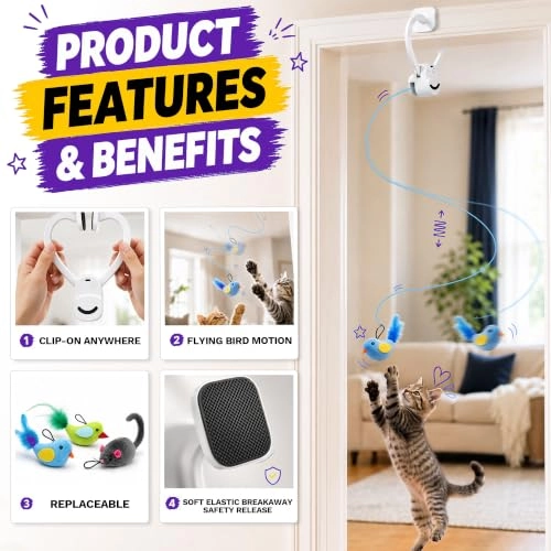 Cat Toy - All Ages