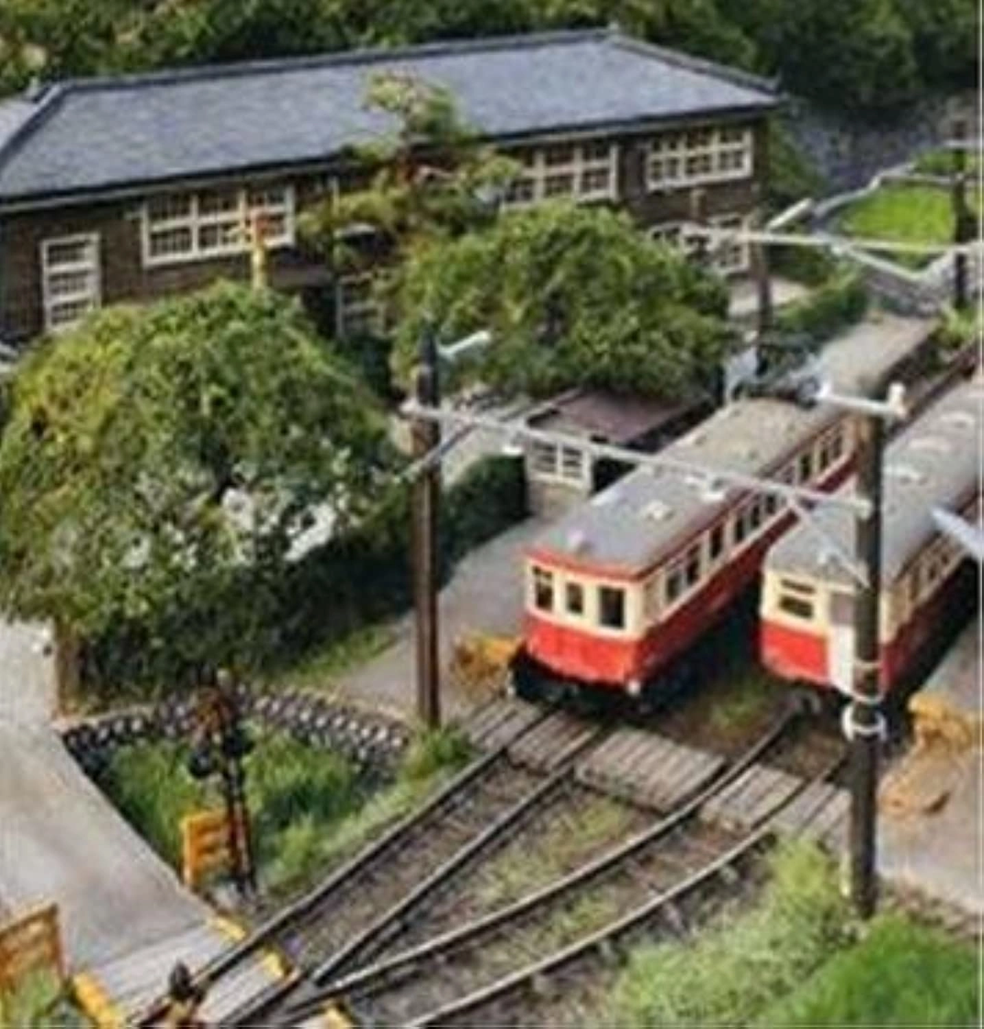 Mixed Model Trees - 32pcs